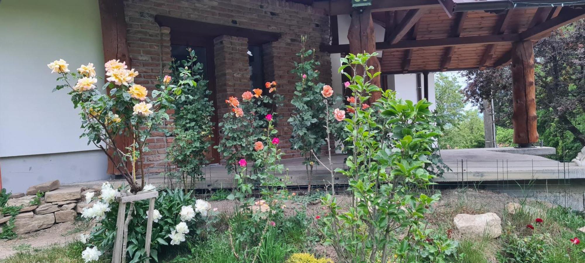 Вилла Rustic Dreams-Dobolii De Sus Экстерьер фото